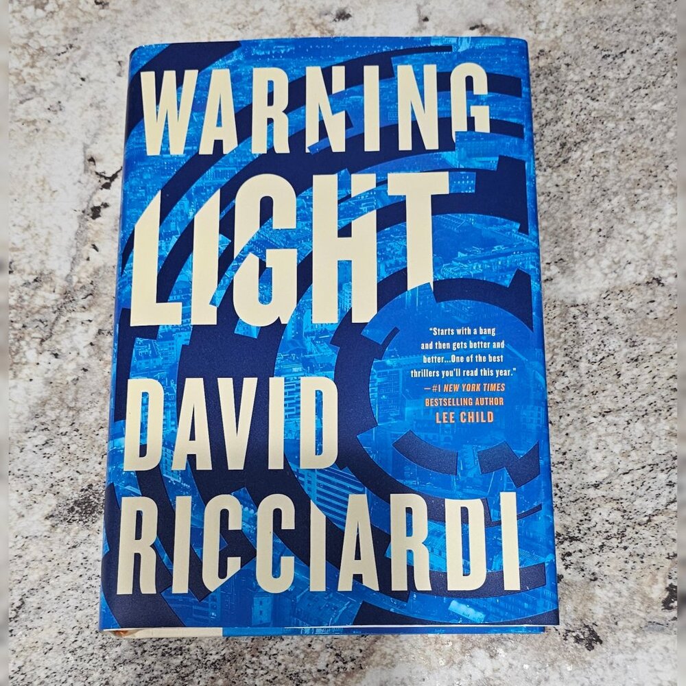 Warning Light by David Ricciardi Hardback